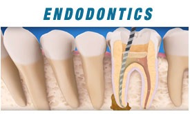 gallery/dentalcare4
